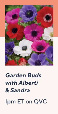 Garden Buds with Alberti & Sandra