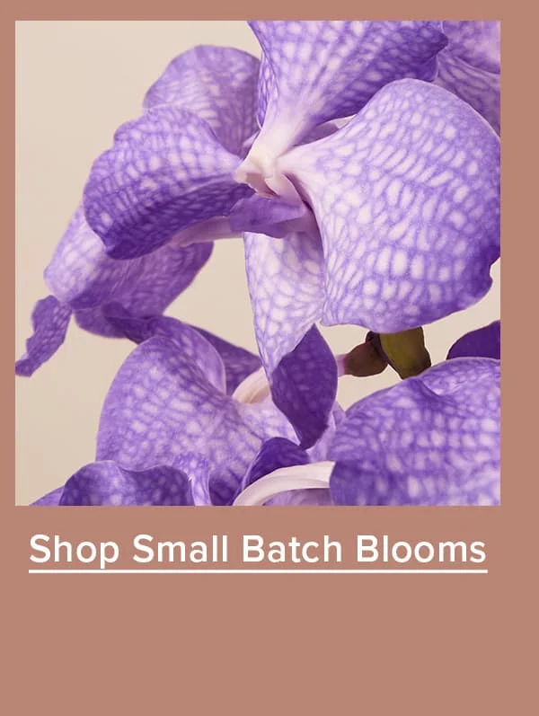 Shop Small Batch Blooms