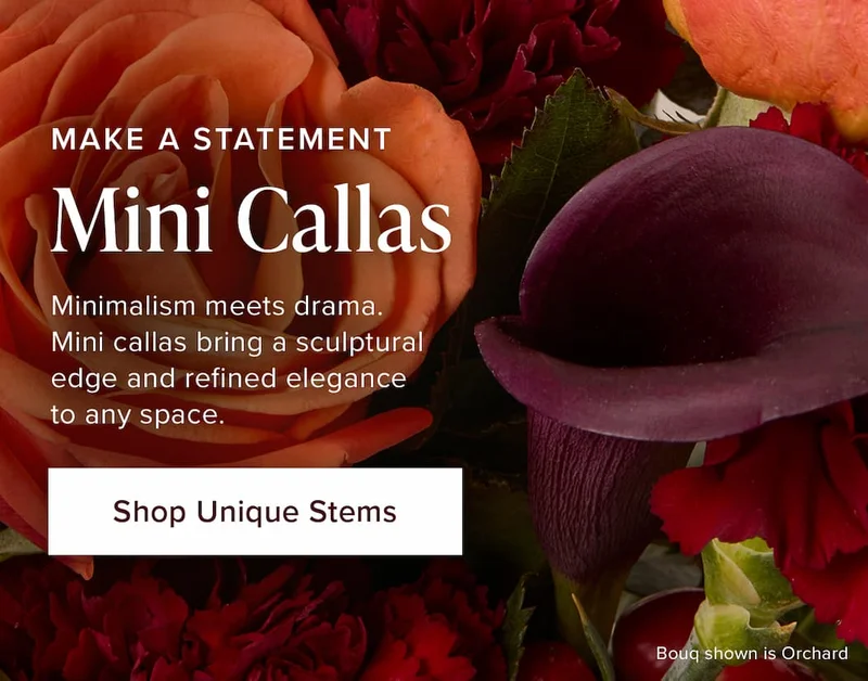 Make a Statement: Mini Callas. Minimalism meets drama. Mini callas bring a sculptural edge and refined elegance to any space. Shop Unique Stems