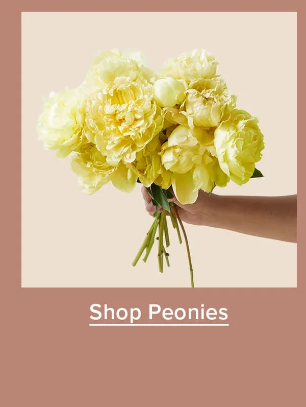 Shop Peonies