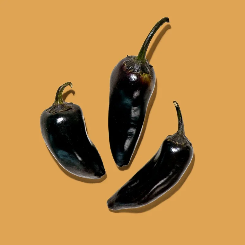 Black Dracula Peppers