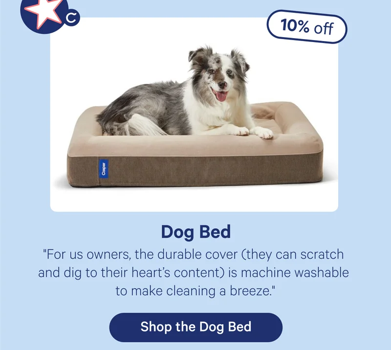 Dog Bed