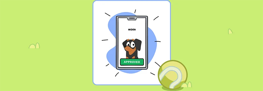 Approve your order