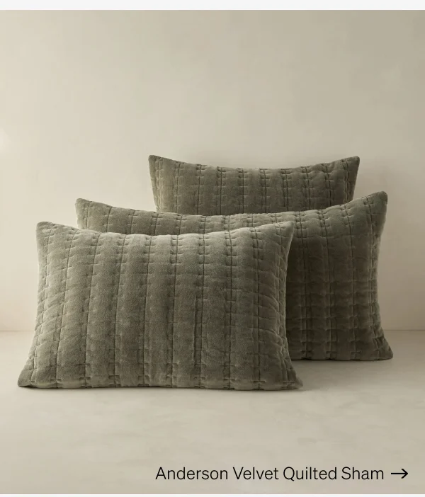 Shop Anderson Velvet Quilted Sham
