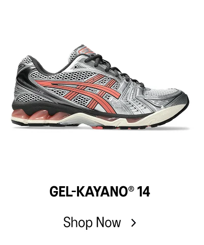 Shop Now >