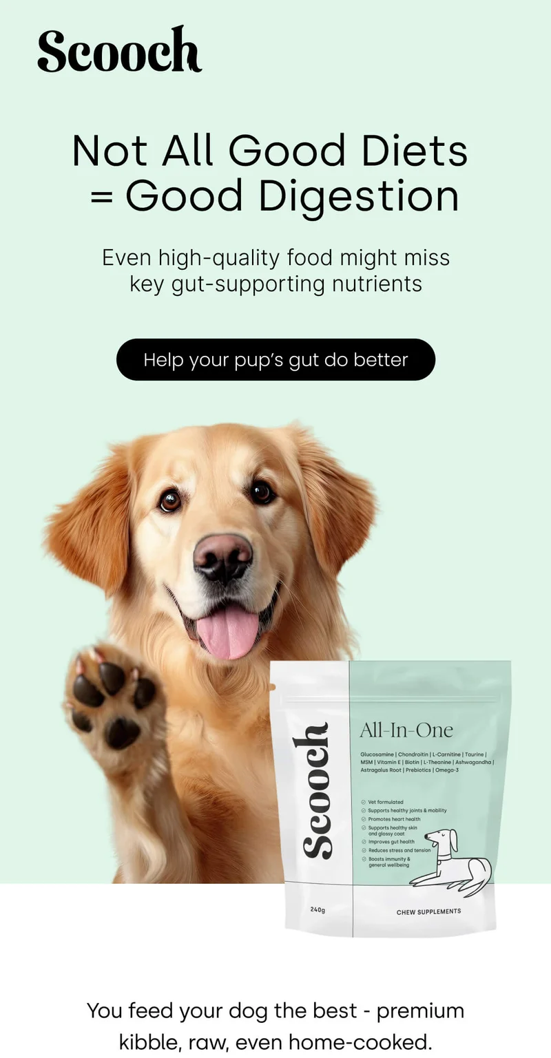 Even high-quality food might miss key gut-supporting nutrients