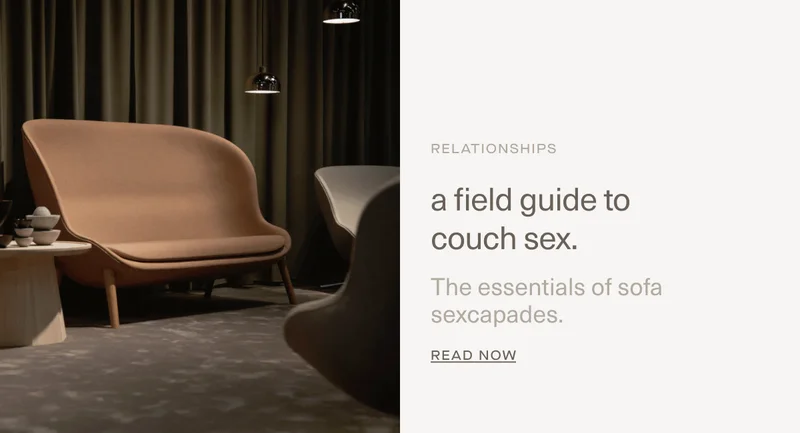 A field guide to couch sex.