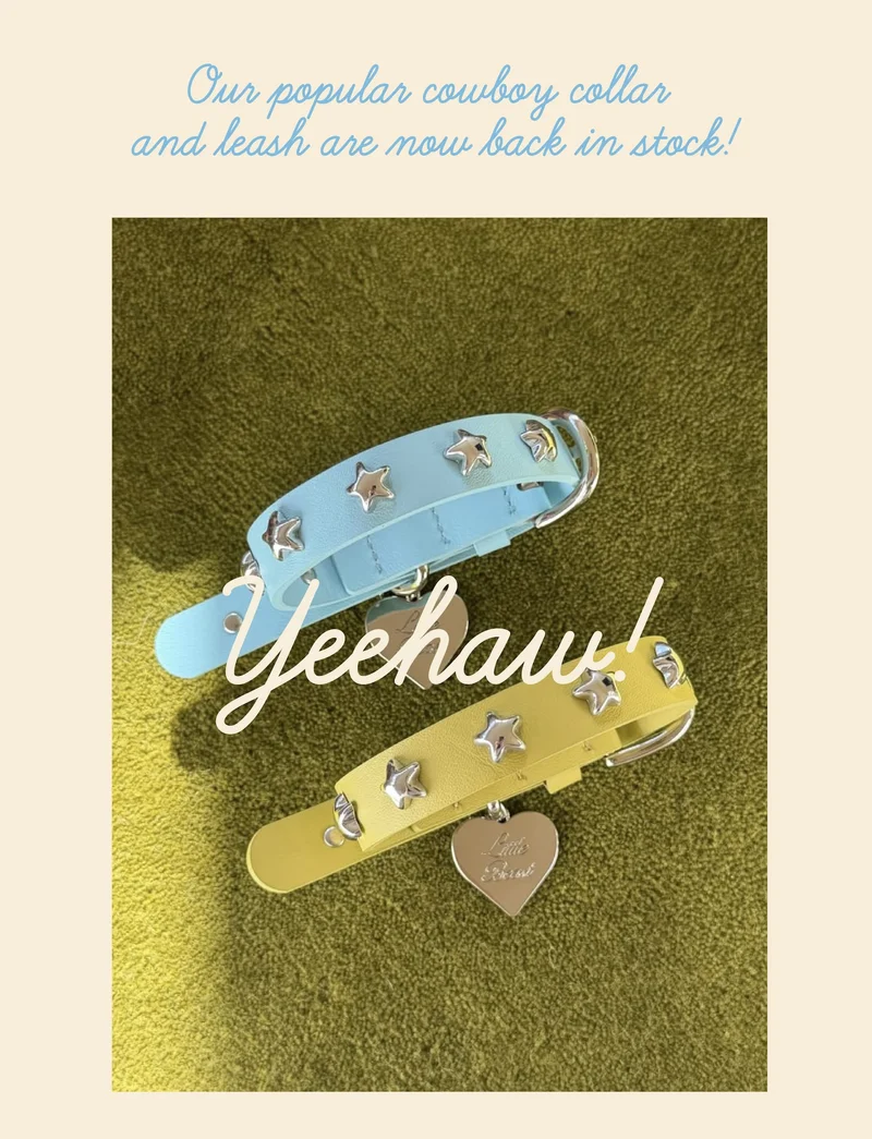 Our popular cowboy collar and leash are now back in stock!