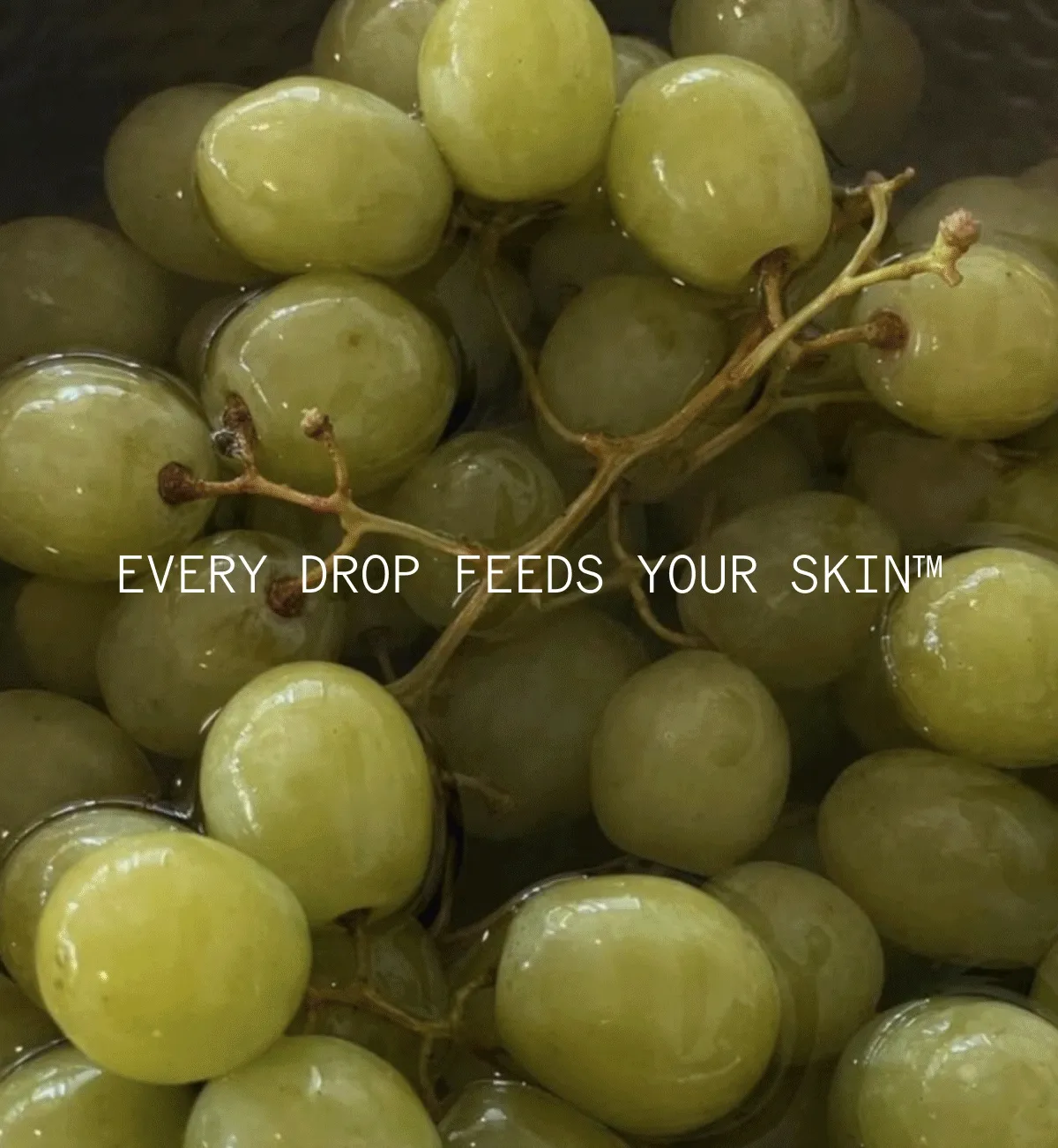 juice