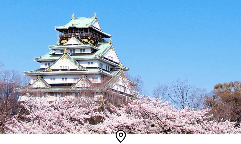 Image Description: Landscape shot of the Osaka Castle towering above a sea of blooming cherry blossom trees