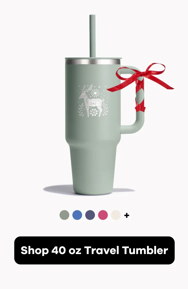 Shop 40 oz Travel Tumbler