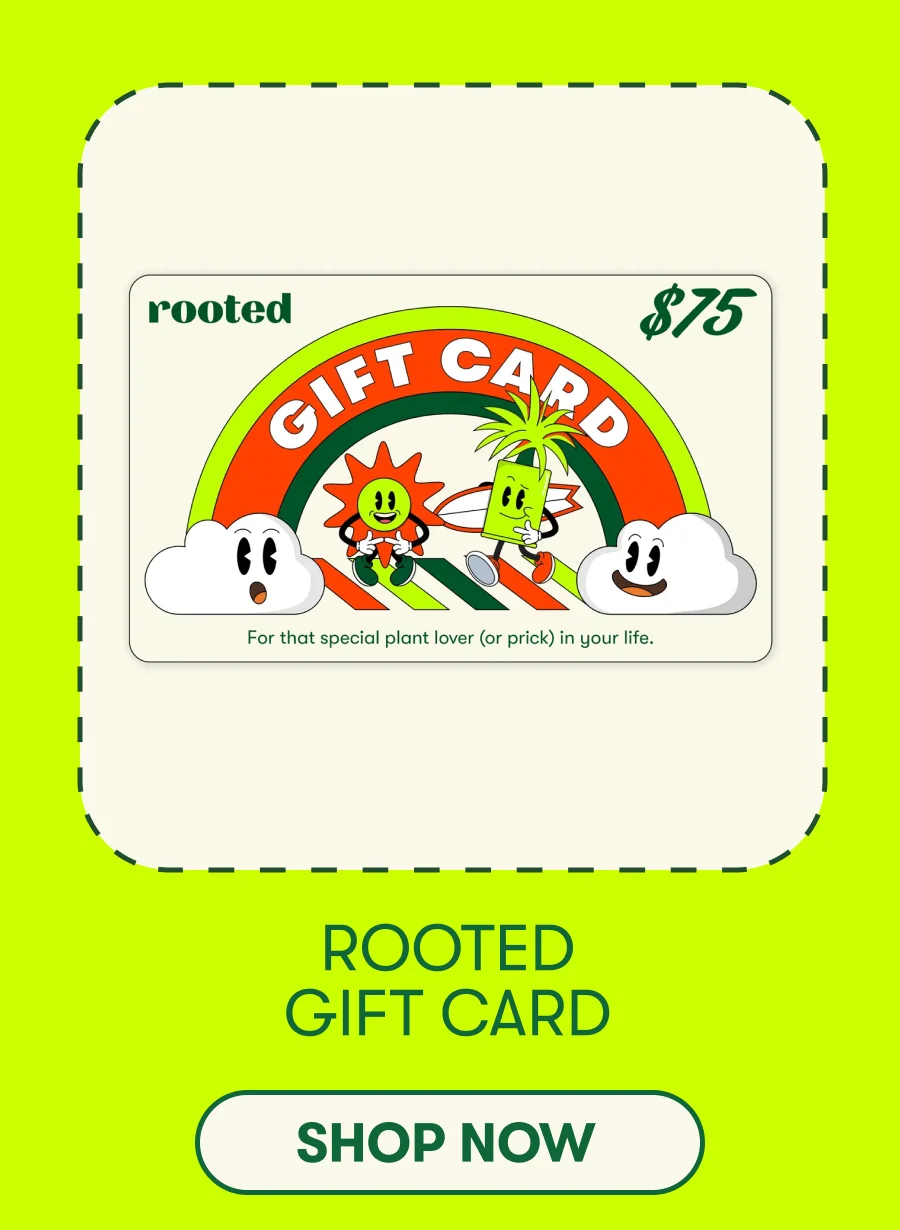 Rooted Gift Card [SHOP NOW]