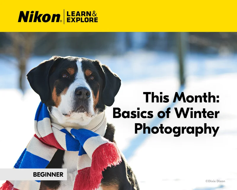 Nikon Learn and Explore | This Month: Basics of Winter Photography