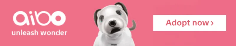 Adopt now
