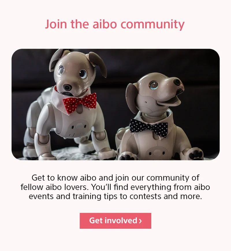 Join the aibo community | Get involved