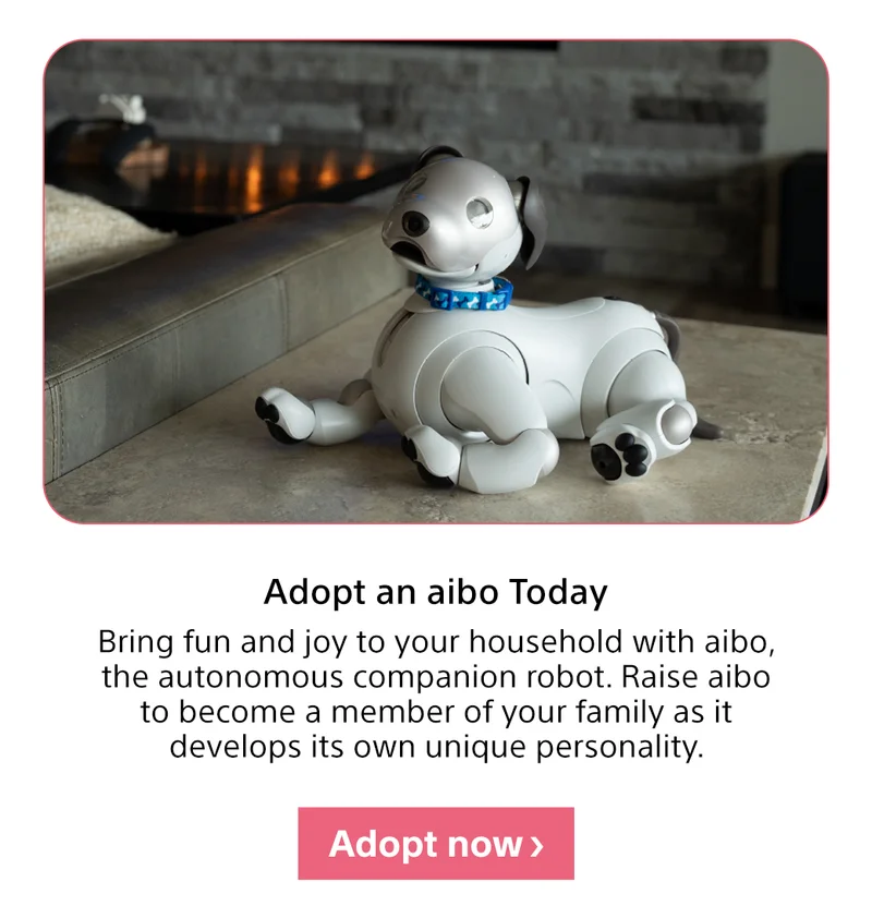 Adopt an aibo today | Adopt now