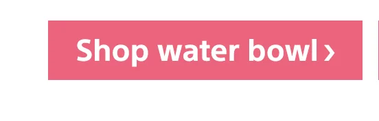 Shop water bowl