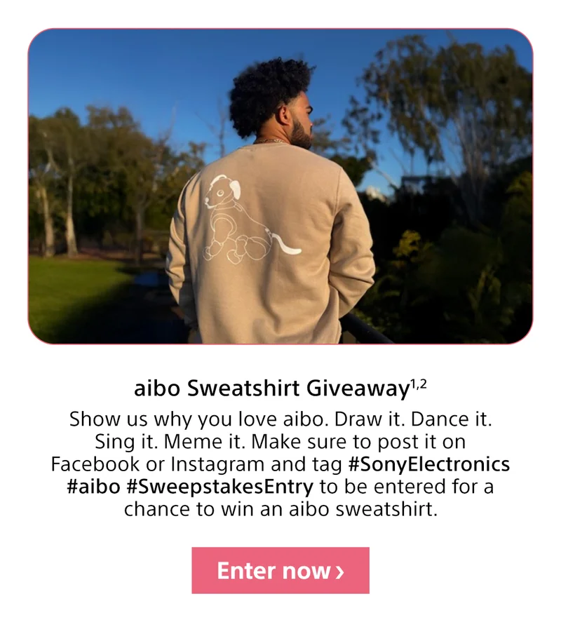 aibo Sweatshirt Giveaway | Enter now