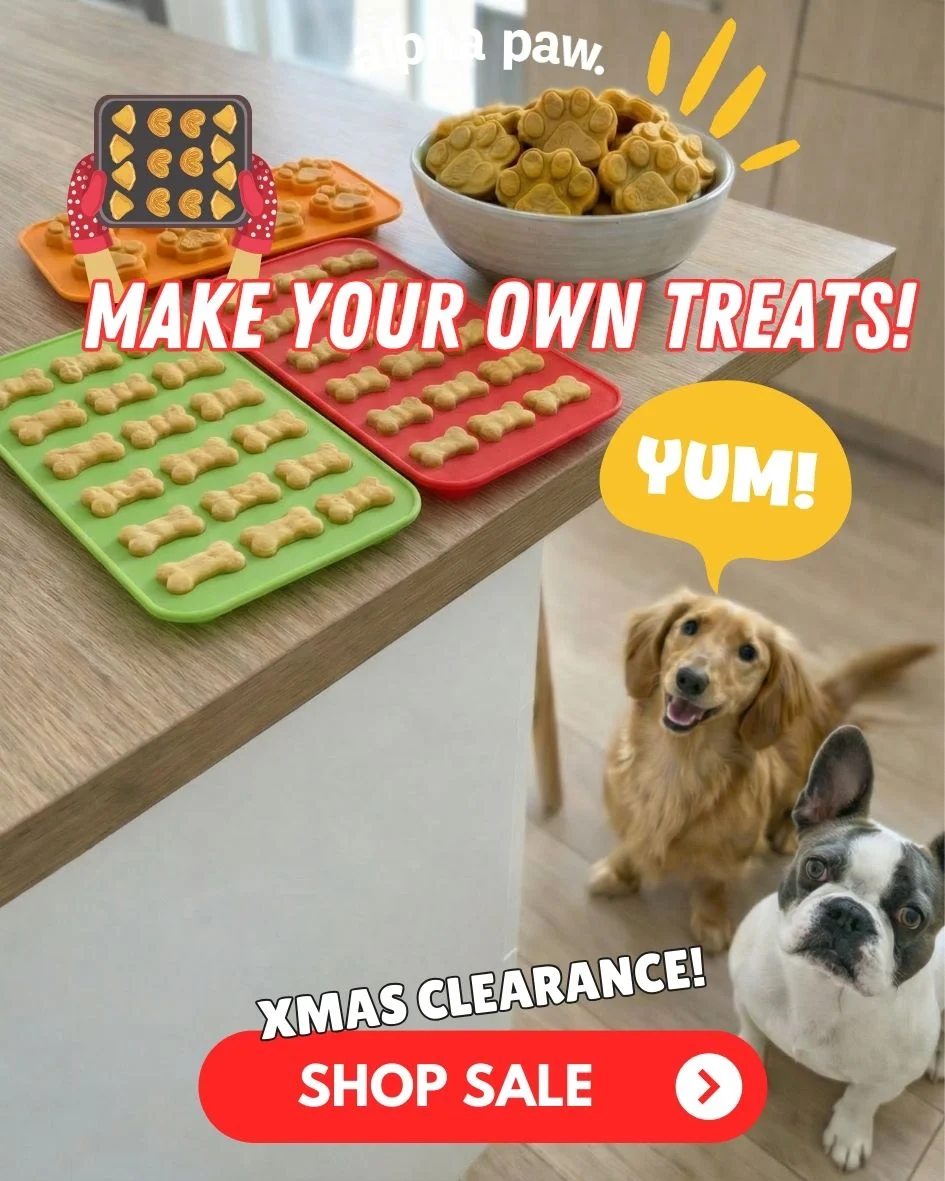 Alpha Pawlidays