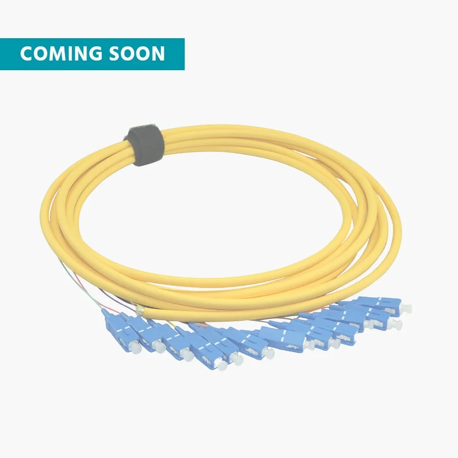 Pigtails - Coming Soon