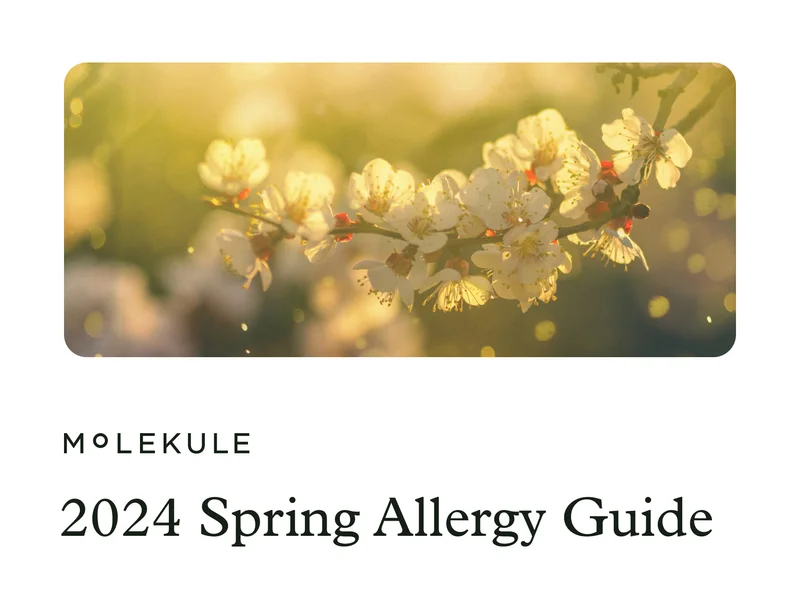 2024 Spring Allergy Guide
