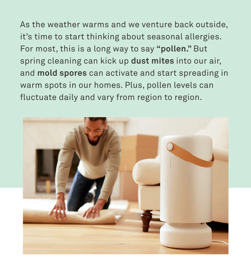2024 Spring Allergy Guide