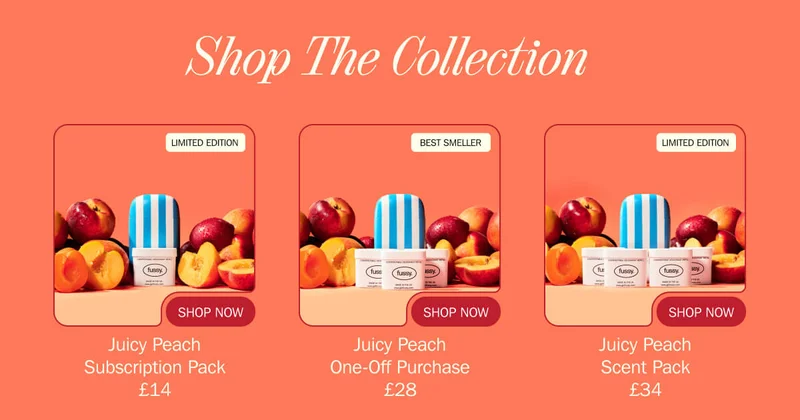 The British Seaside Collection