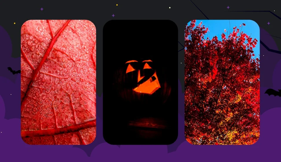 Three phone screens showing different fall Pixel images