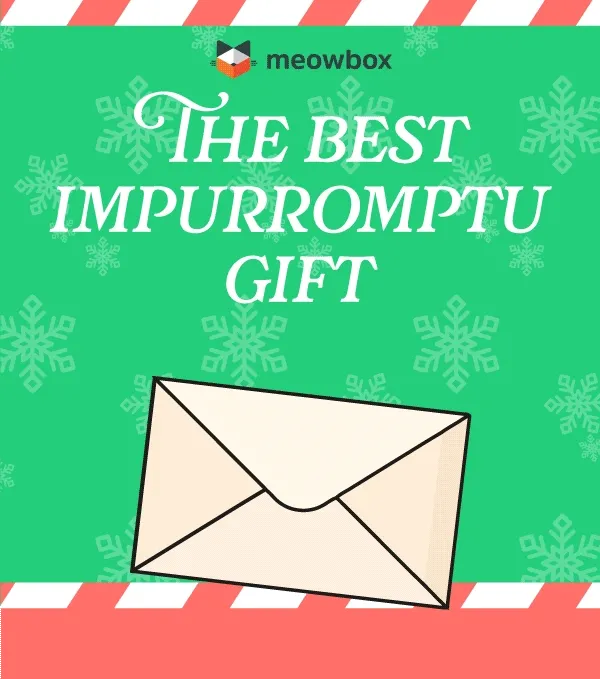 The best impurromptu gift! Image of a stack of meowbox gift cards animating in.