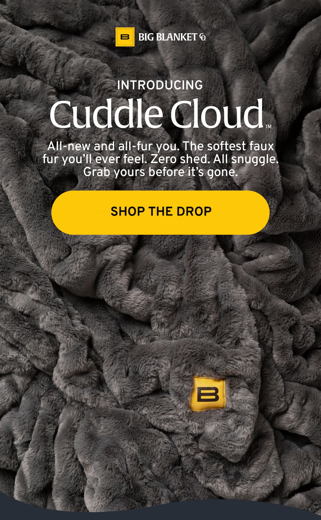 Cuddle Cloud