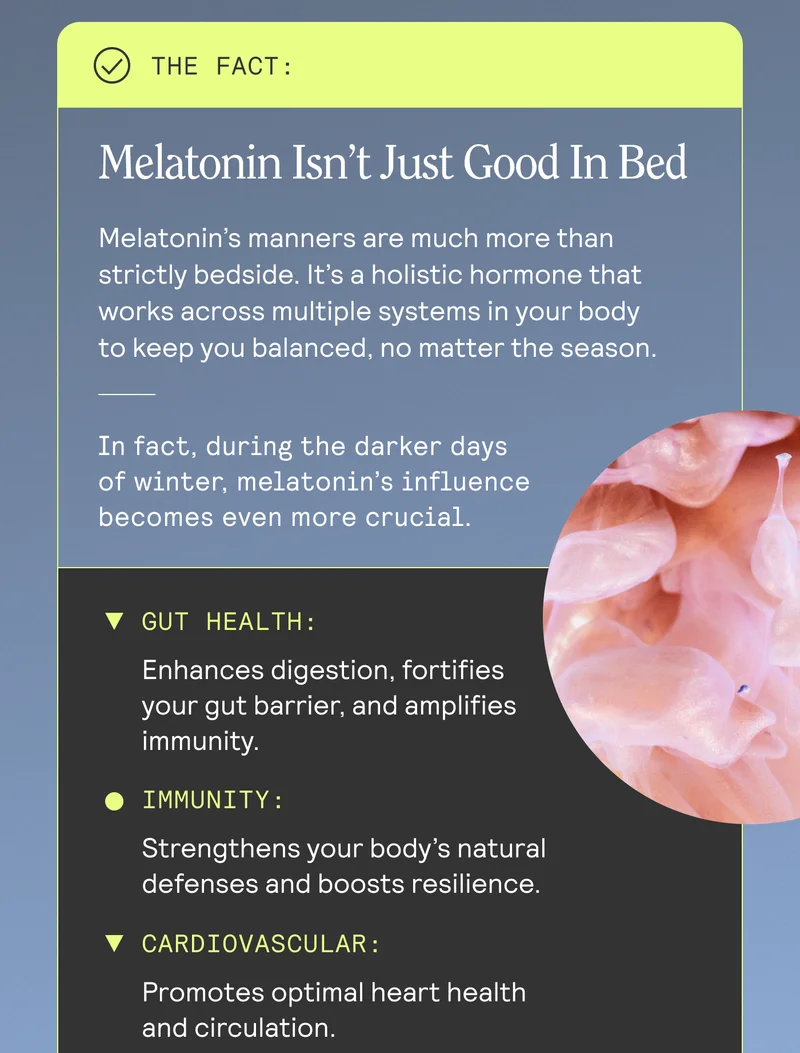 Melatonin Isn't Just Good In Bed Melatonin's manners are much more than strictly bedside. It's a holistic hormone that works across multiple systems in your body to keep you balanced, no matter the season. In fact, during the darker days of winter, melatonin's influence becomes even more crucial. V GUT HEALTH: Enhances digestion, fortifies your gut barrier. Wnd amplifies immunity. IMMUNITY: Strengthens your body's natural defenses and boosts resilience. V CARDIOVASCULAR: Promotes optimal heart health and circulation.