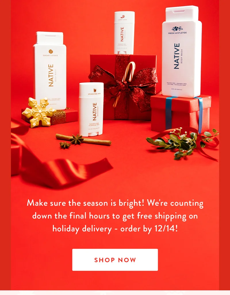 Make sure the season is bright! We're counting down the final hours to get free shipping on holiday delivery - order by 12/14! | SHOP NOW