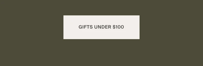 Gift Under $100
