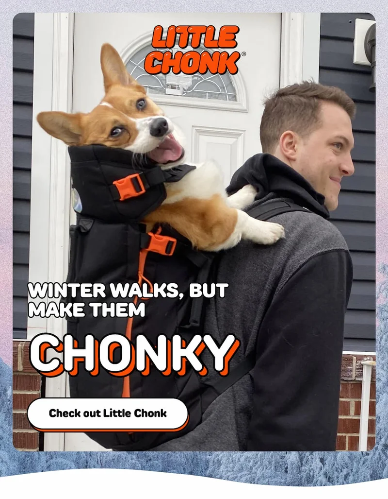 Check out Little Chonk