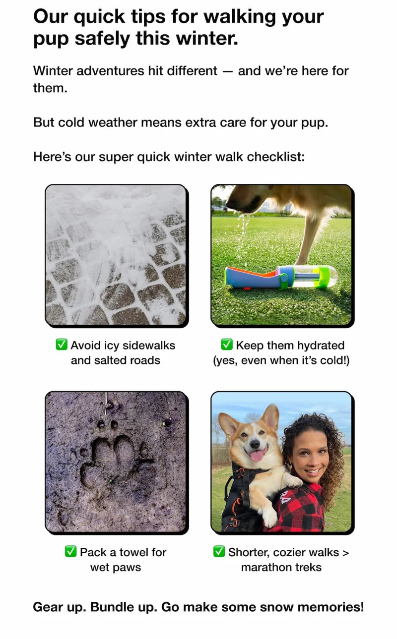Our quick tips for walking your pup safely this winter.