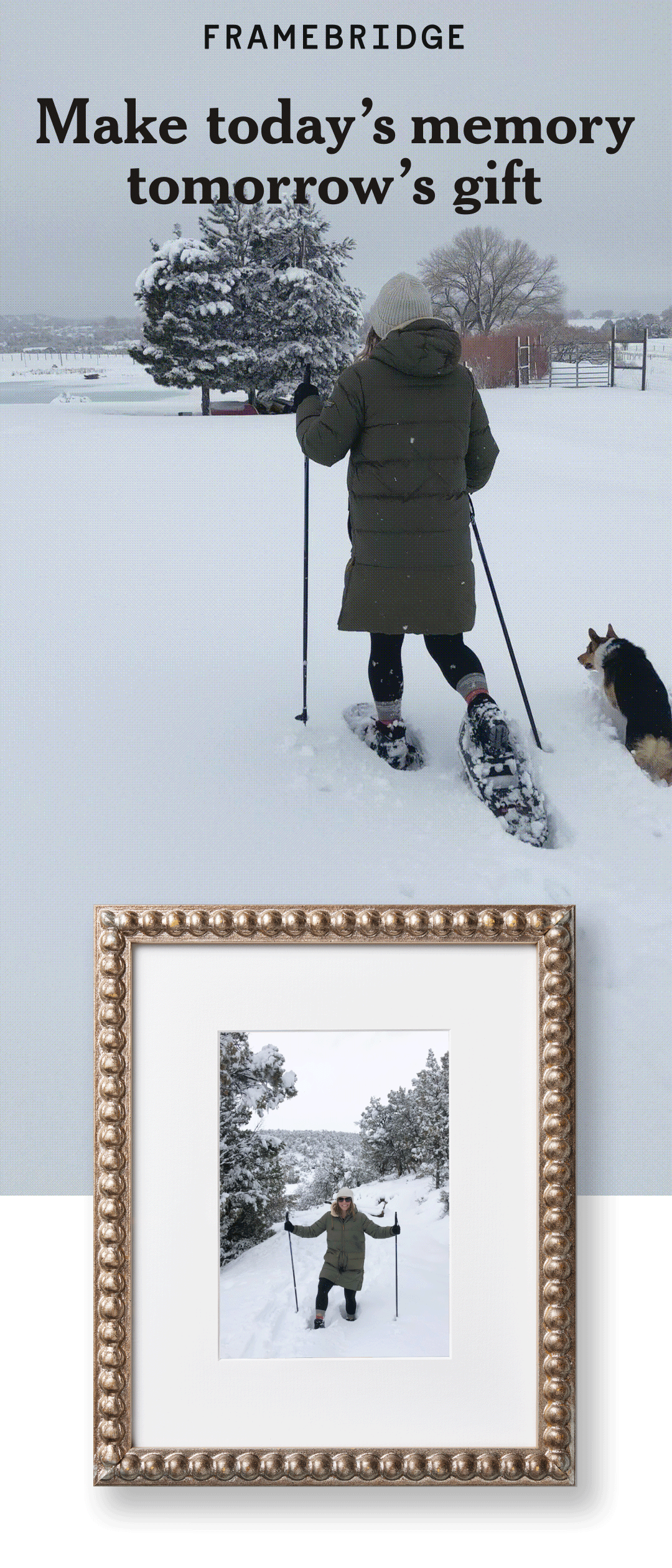 Framebridge. Start Gifting.