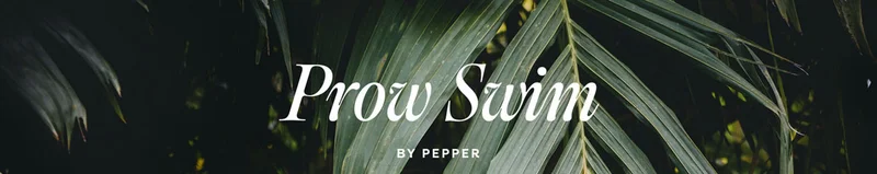 Introducing Prow Swim