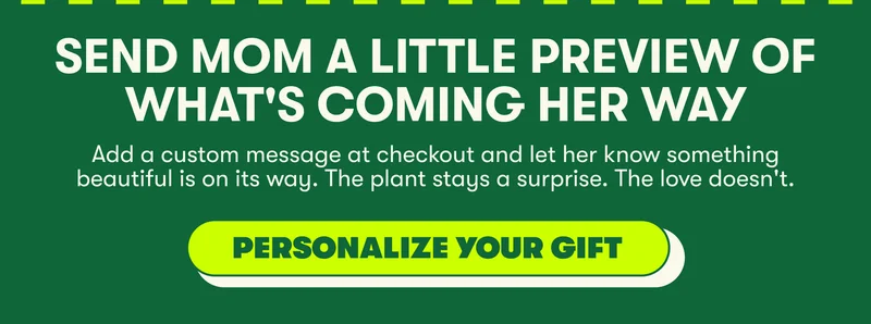 send a gift preview