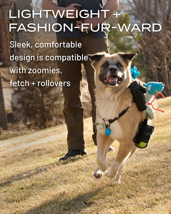 Lightweight + fashion-fur-ward | Sleek, comfortable design is compatible with zoomies, fetch + rollovers