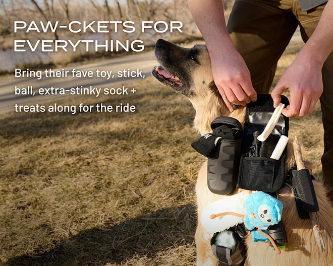 Paw-ckets for everything | Bring their fave toy, stick, ball, extra-stinky sock + treats along for the ride