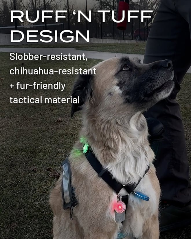 Ruff ‘n tuff design | Slobber-resistant, chihuahua-resistant + fur-friendly tactical material