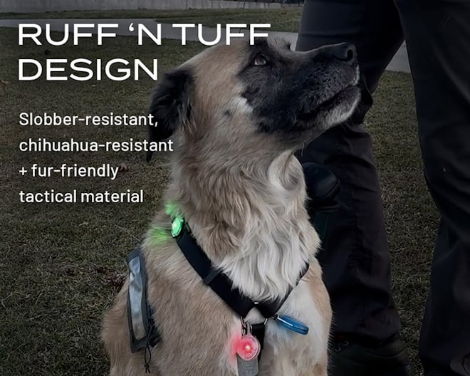 Ruff ‘n tuff design | Slobber-resistant, chihuahua-resistant + fur-friendly tactical material