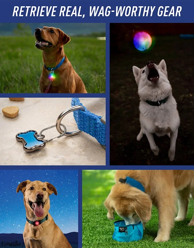 Retrieve real, wag-worthy gear