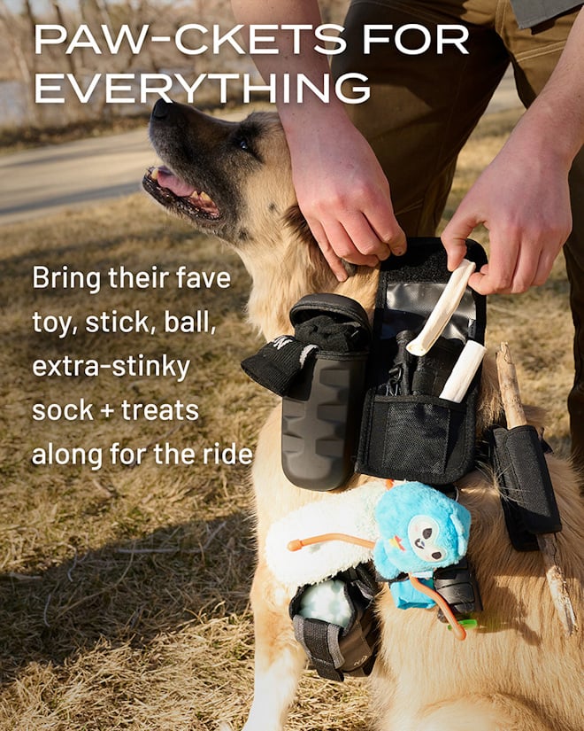 Paw-ckets for everything | Bring their fave toy, stick, ball, extra-stinky sock + treats along for the ride