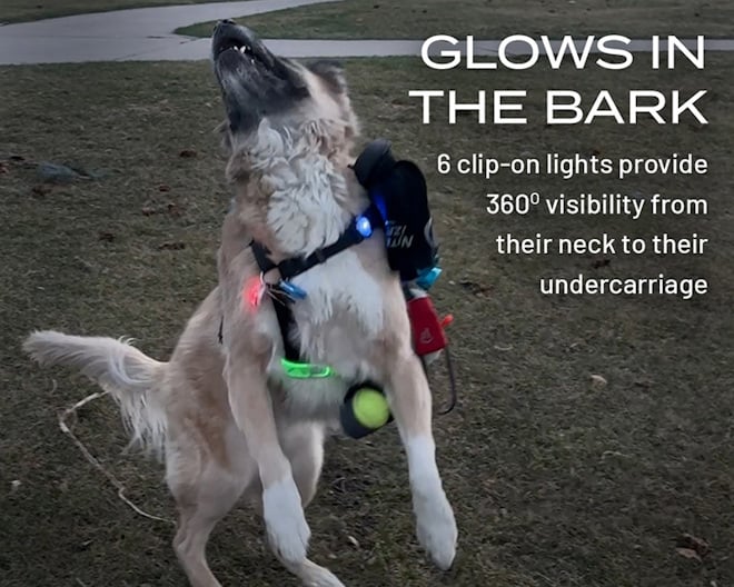 Glows in the bark | 6 clip-on lights provide 360º visibility from their neck to their undercarriage