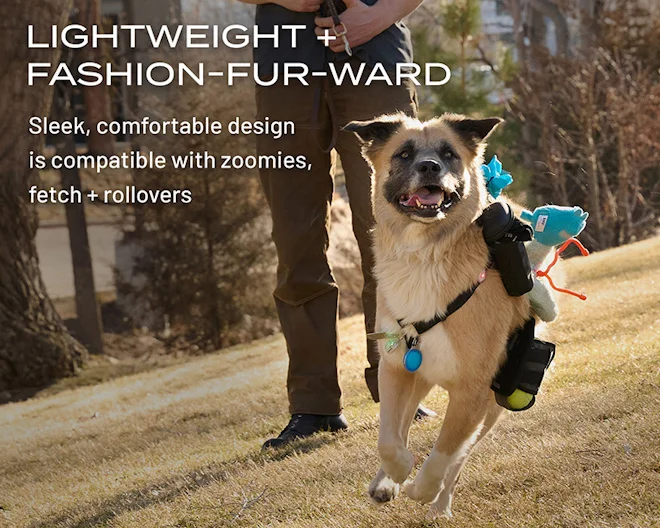 Lightweight + fashion-fur-ward | Sleek, comfortable design is compatible with zoomies, fetch + rollovers