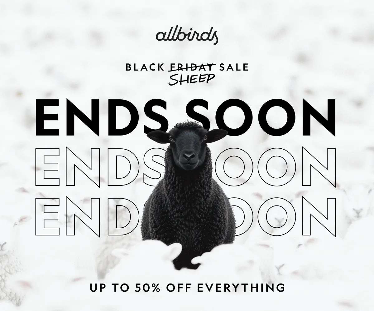 Black Friday Sale