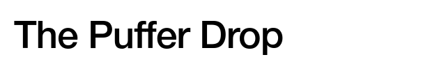 Display images to show real-time content