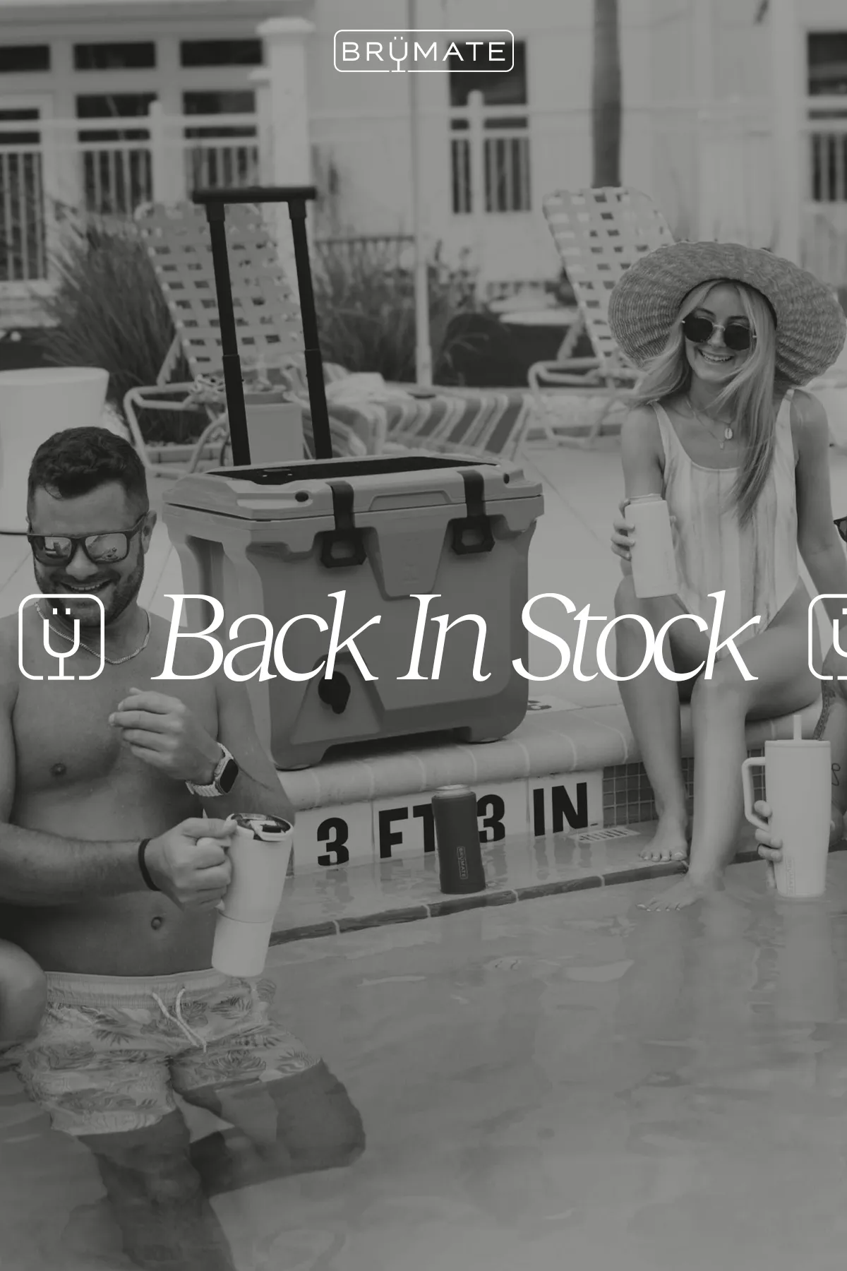 Back In Stock