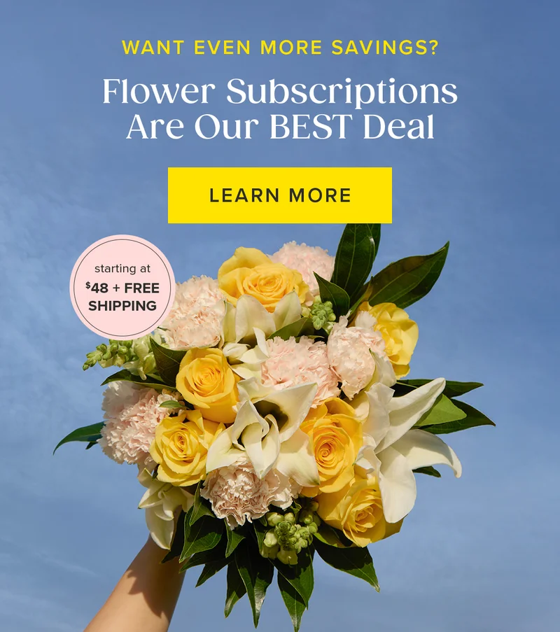WANT EVEN MORE SAVINGS? Flower Subscriptions Are Our BEST Deal LEARN MORE starting at $48 + FREE SHIPPING WANT EVEN MORE SAVINGS? Flower Subscriptions Are Our BEST Deal LEARN MORE starting at $48 + FREE SHIPPING
